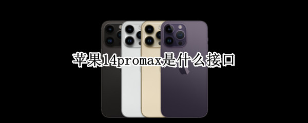 苹果14promax是什么接口 iphone12pro max是什么接口