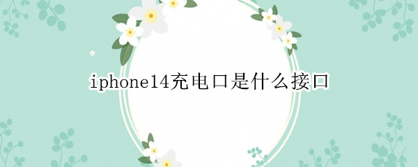 iphone14充电口是什么接口（iphone14充电接口是typec吗）