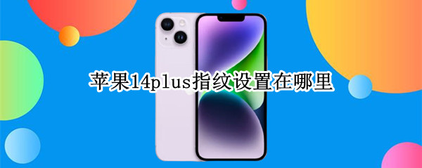 苹果14plus指纹设置在哪里（iphone12设置指纹在哪里）