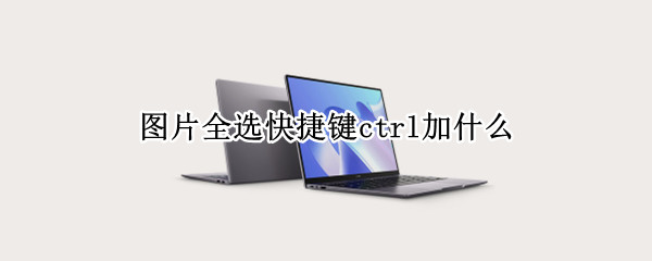 图片全选快捷键ctrl加什么（excel图片全选快捷键ctrl加什么）