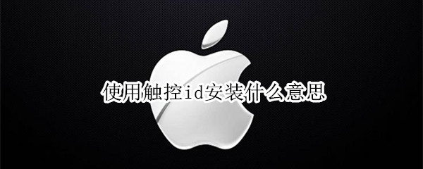 使用触控id安装什么意思 ipad使用触控id安装什么意思