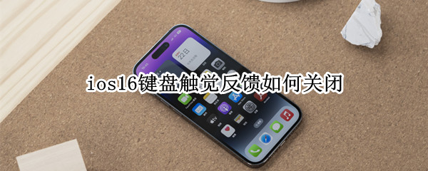 ios16键盘触觉反馈如何关闭（ios键盘触感反馈）