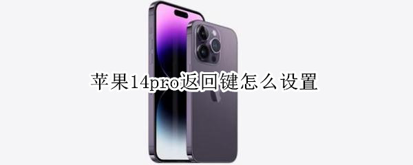 苹果14pro返回键怎么设置 iphone12promax怎么设置返回键