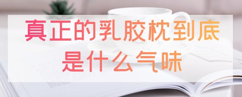 真正的乳胶枕到底是什么气味 正宗的乳胶枕头是什么气味