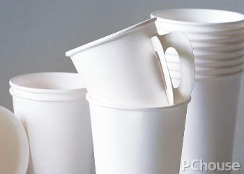 环保纸杯品牌（环保纸杯品牌排行）