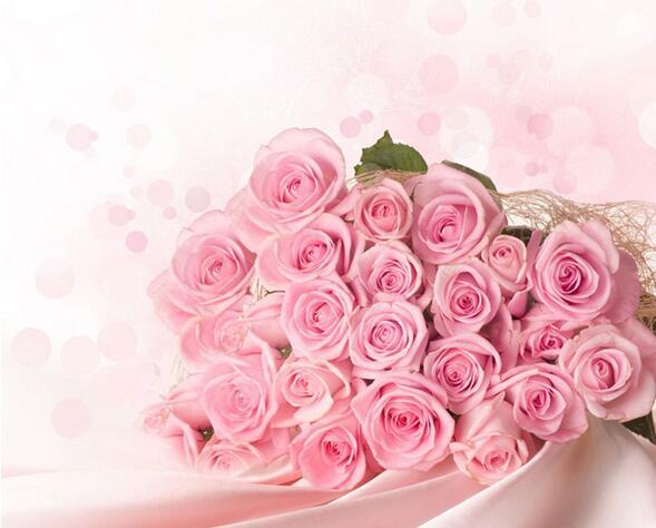 粉玫瑰花语是什么 粉玫瑰花语是什么意思
