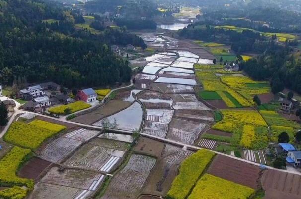 集体土地征收与补偿给集体还是个人 集体土地征收补偿款能否给村民分配