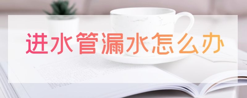 进水管漏水怎么办