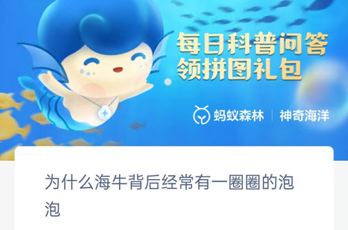 为什么海牛背后经常有一圈圈的泡泡 海牛身上的鱼