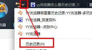 yy浏览器怎么删除历史记录 怎么删掉浏览器历史记录
