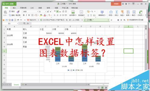 EXCEL图表数据怎么设置标签?（excel2010图表数据标签怎么设置）