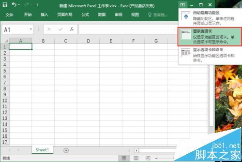 excel2016工具栏怎么显示/隐藏?