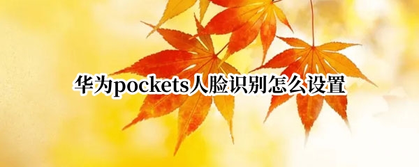 华为pockets人脸识别怎么设置（pocket华为下载）
