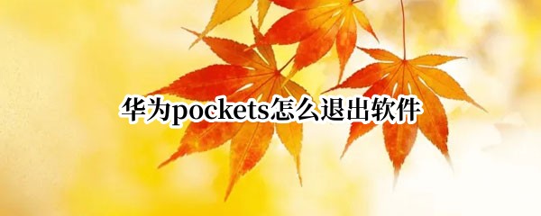 华为pockets怎么退出软件 pocket怎么退回上一步