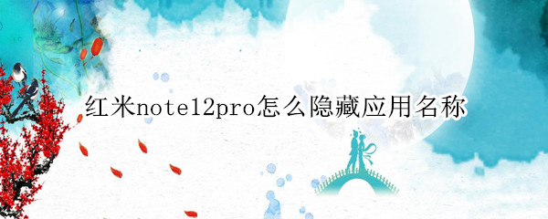 红米note12pro怎么隐藏应用名称 红米note10如何隐藏应用