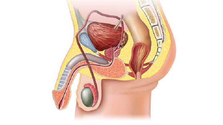 男性性功能障碍五大误区介绍（男性性功能障碍的表现）