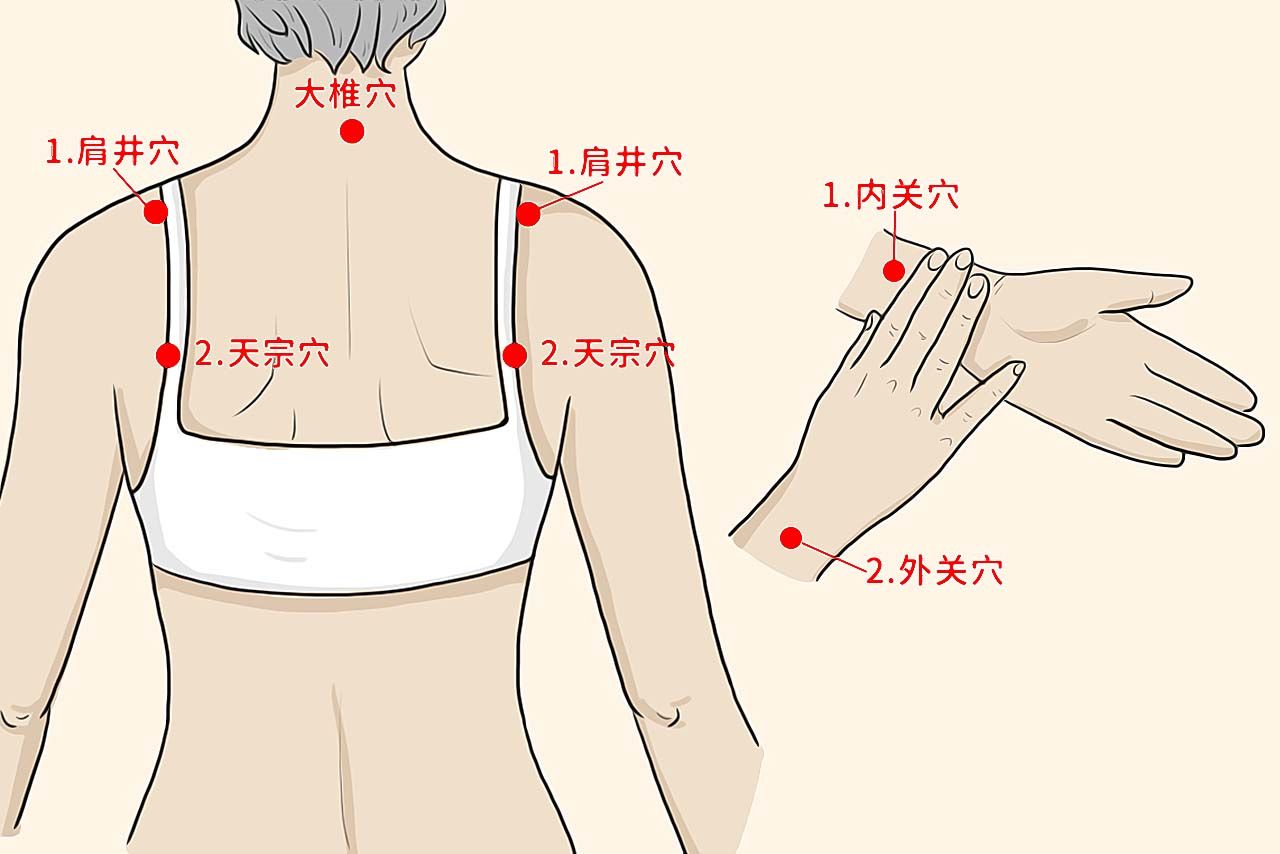 乳房刮痧顺序图片