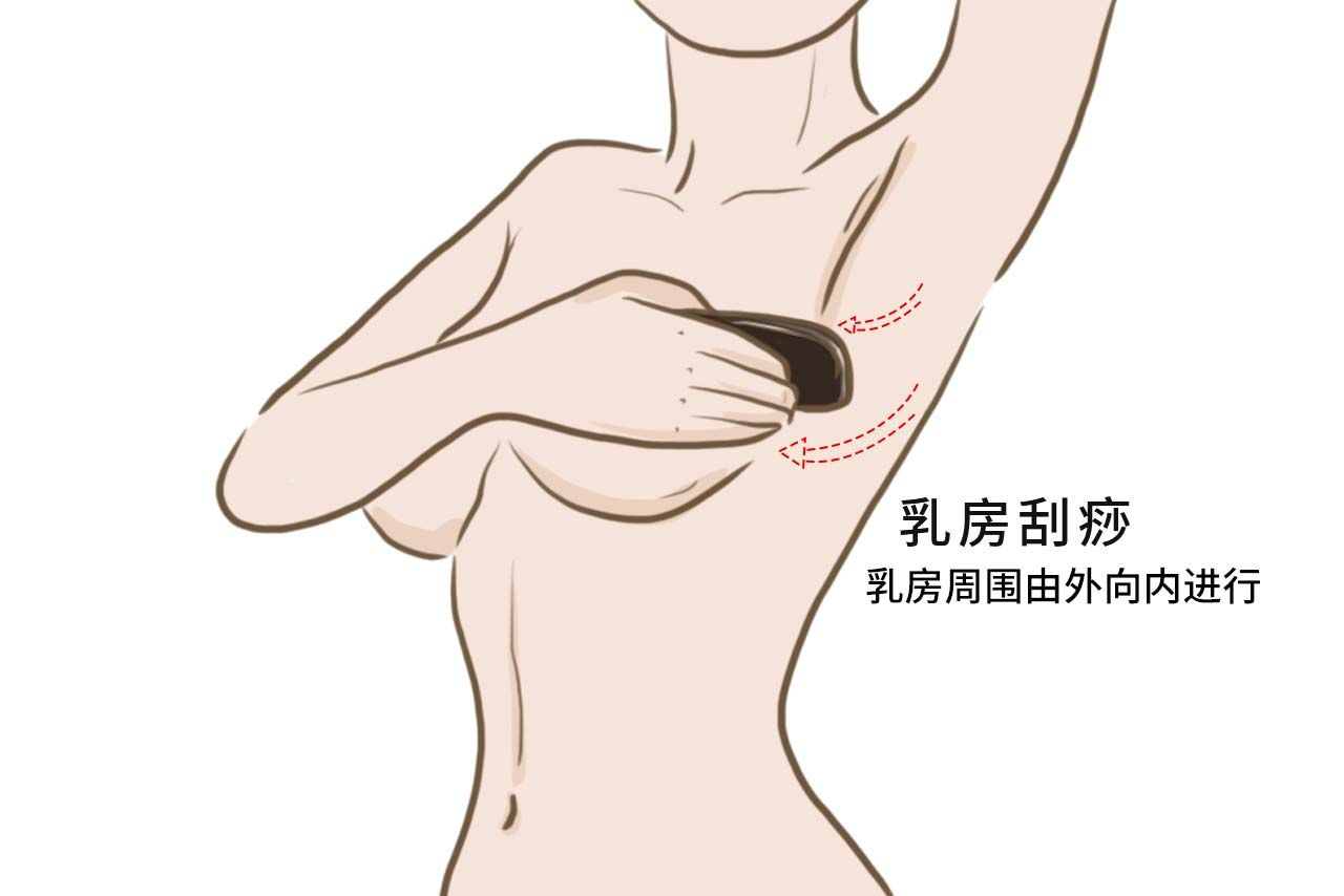 乳房刮痧图解（乳房刮痧图解视频）