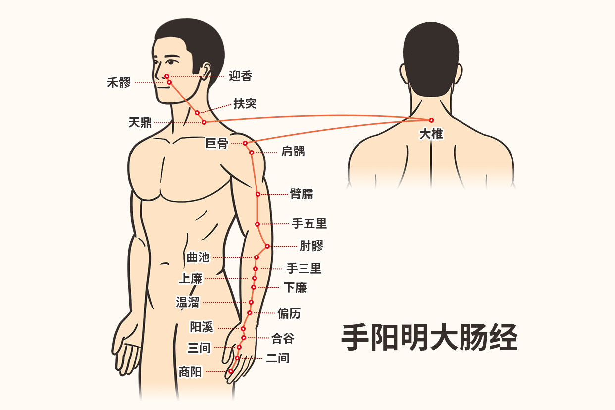 大肠经通便刮痧示意图 大肠经刮痧视频教程