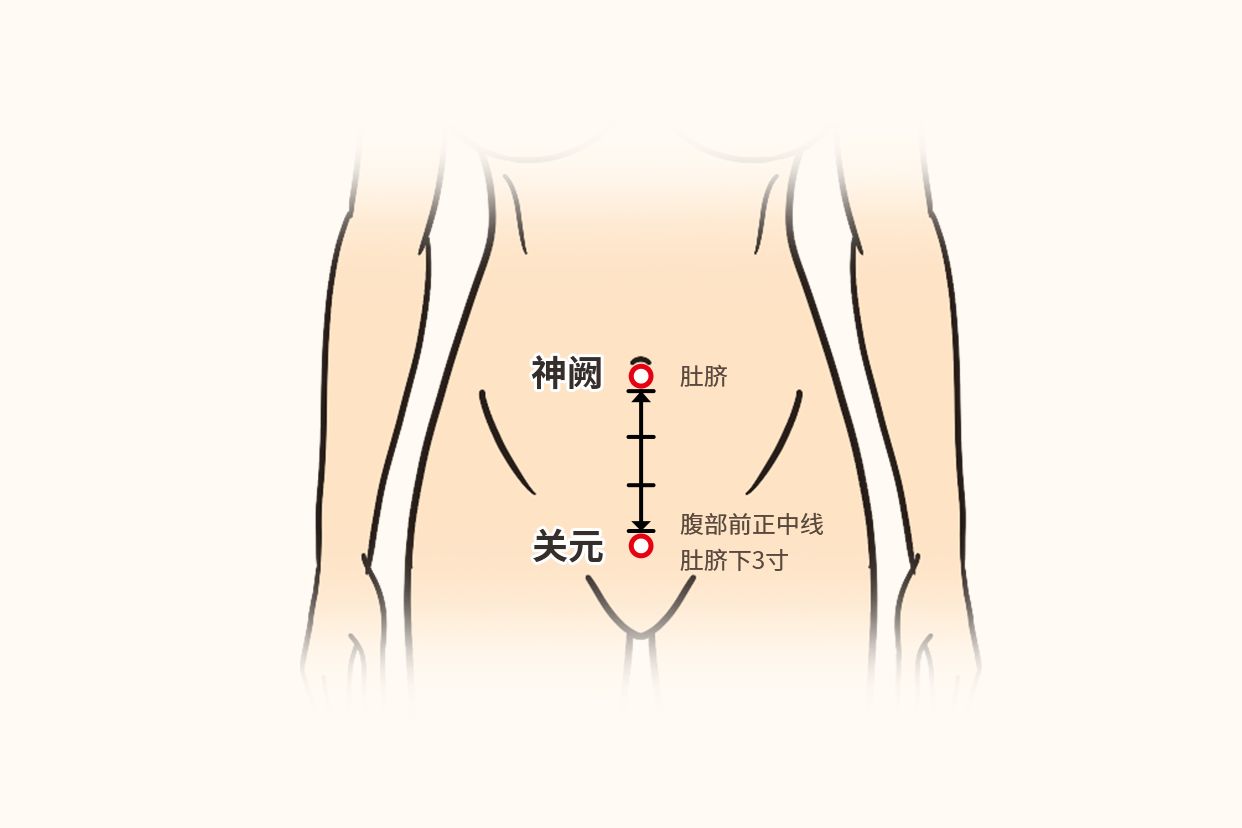 女人肾阳虚按摩什么部位图解（肾阴虚按摩什么部位图解）