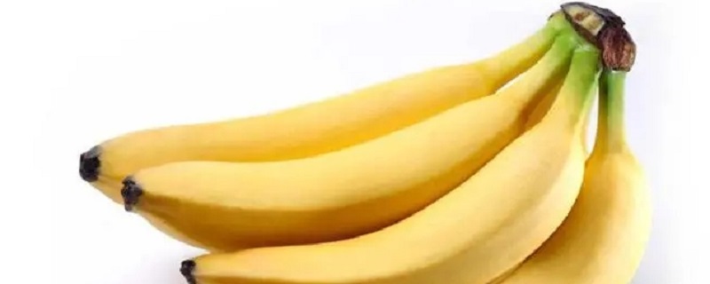 现在吃的黄色香蕉是怎么来的（现在吃的黄色香蕉怎么来的芭芭农场）