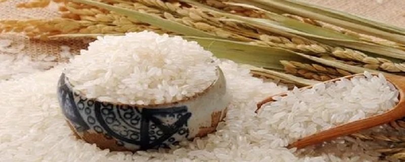 大米的保质期（大米的保质期一般是多久）