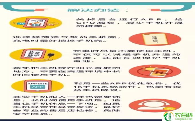 枇杷怎么保养图解（枇杷怎么保养图解视频）