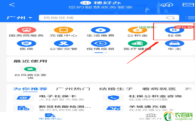 怎么养金豆(金豆养成秘籍） 金豆养殖技术