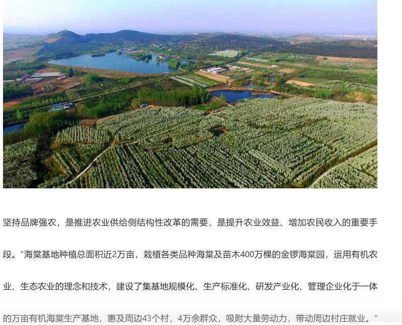 临沂兰山一企业施工不打招呼将村民祖坟铲平，村委会：管不了