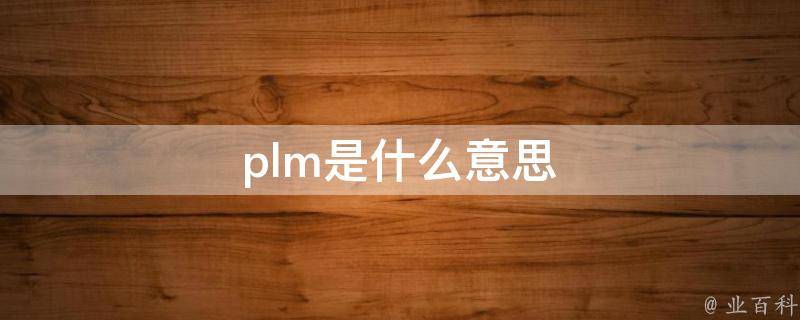 plm是什么意思（plum是什么意思）